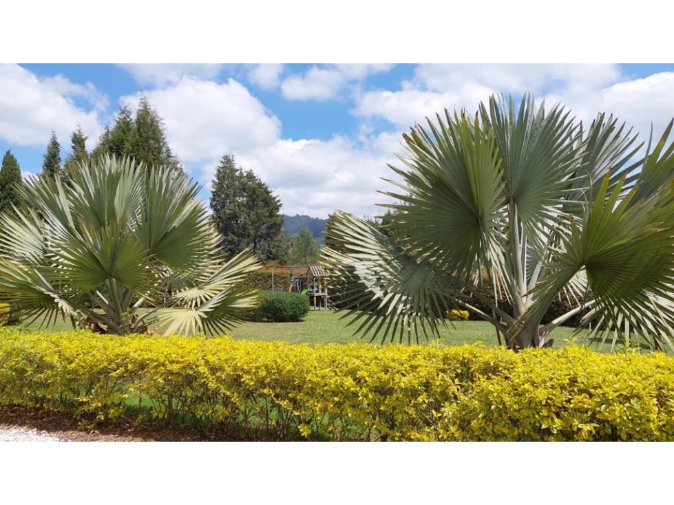 Casa independiente en venta en Guarne CA-GUA-0316 MLS# 253465 - 4