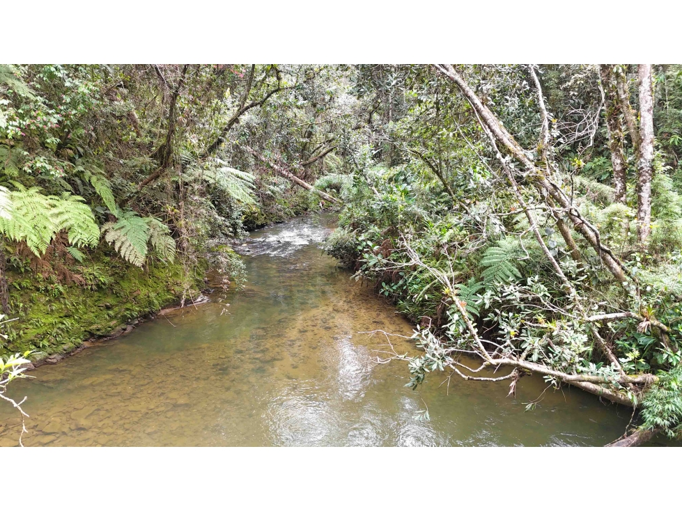 Lote independiente en venta al lado colegio Vermont LO-RET-3052 — foto 5