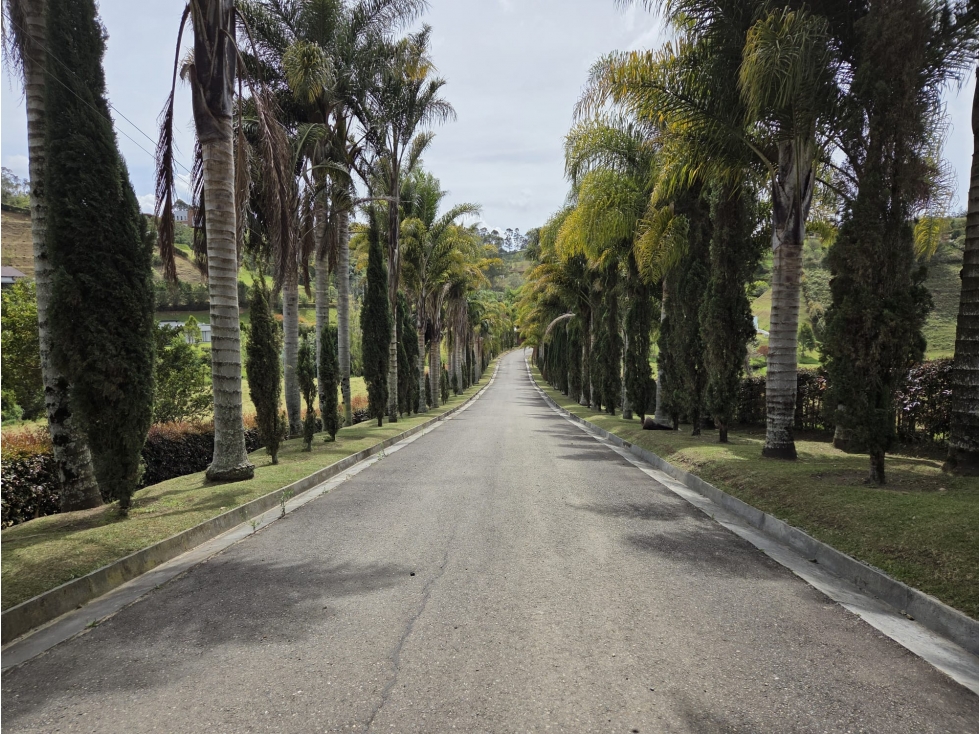 Lote en venta con linda vista en Quirama (La Ceja) LO-RIO-3057 — foto 3