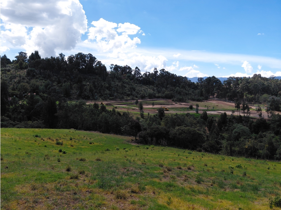 LOTE ALTOS DE YERBABUENA — foto 3