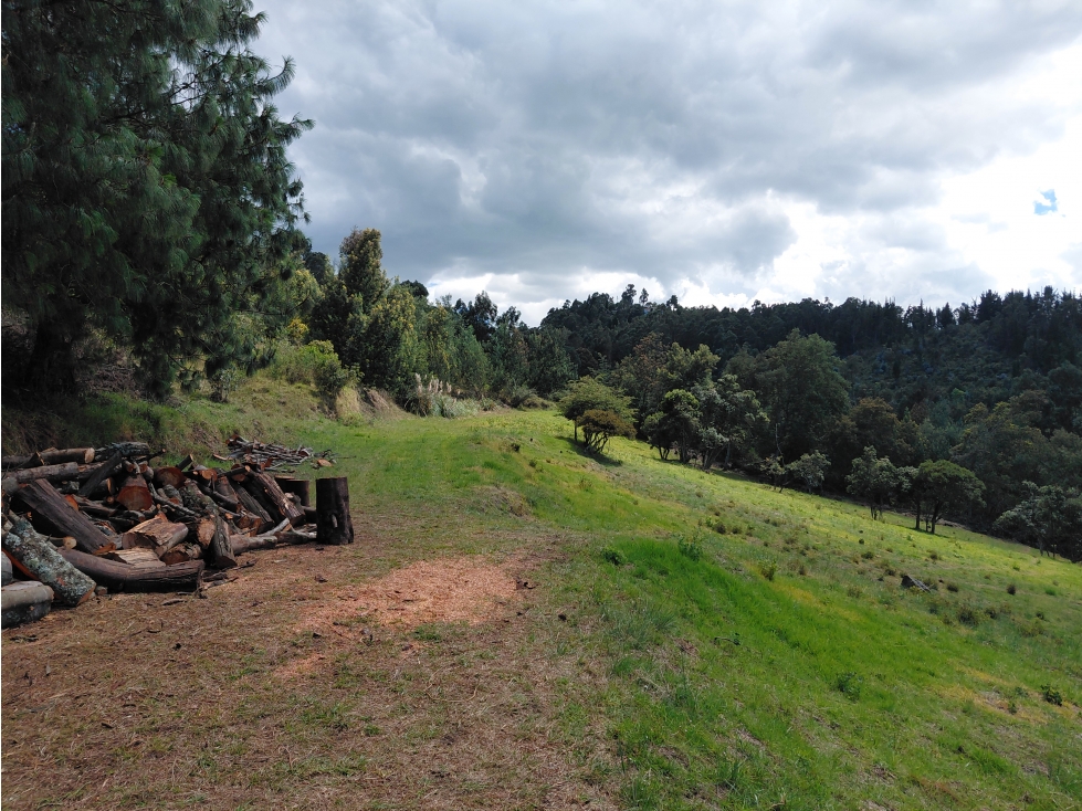 LOTE ALTOS DE YERBABUENA — foto 4