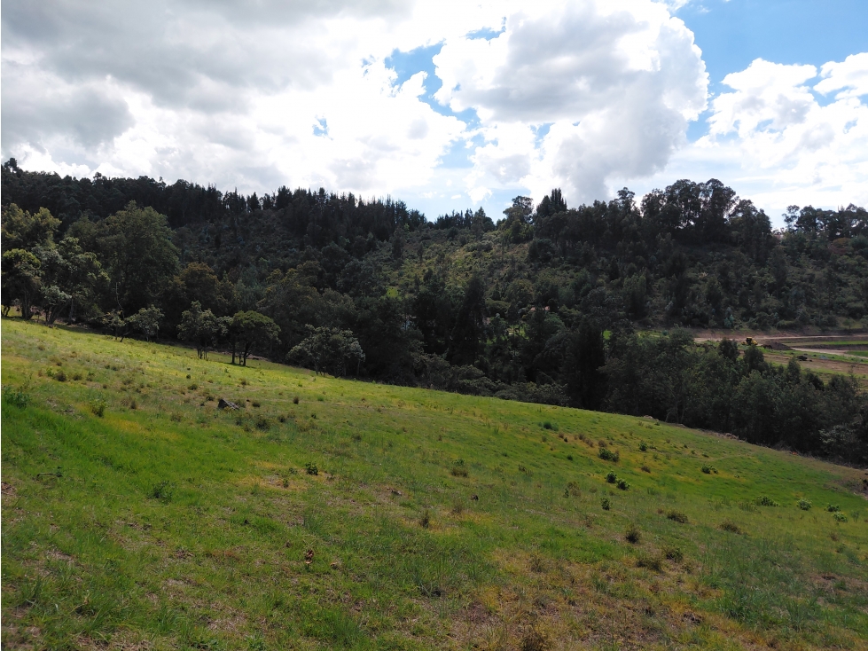 LOTE ALTOS DE YERBABUENA — foto 5