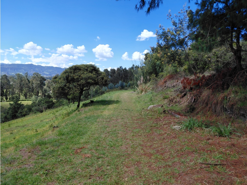 LOTE ALTOS DE YERBABUENA — foto 6