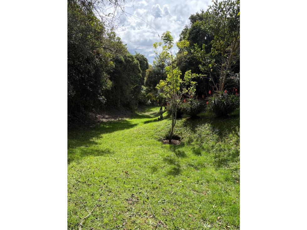 EXCLUSIVA VIVIENDA EN SINDAMANOY - 4