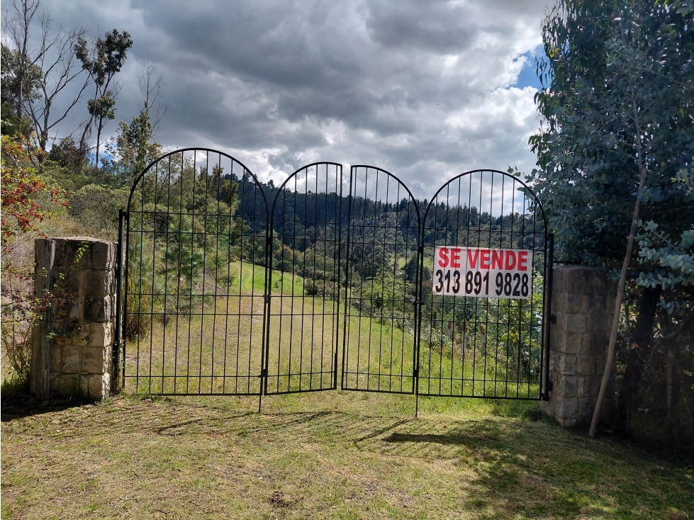 LOTE ALTOS DE YERBABUENA