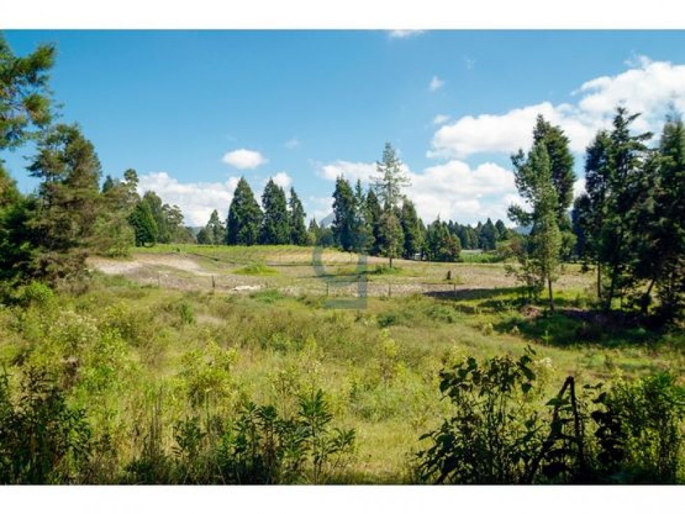 Venta lote espectacular indust./resid. Guarne $13.820.000.000 — foto 2