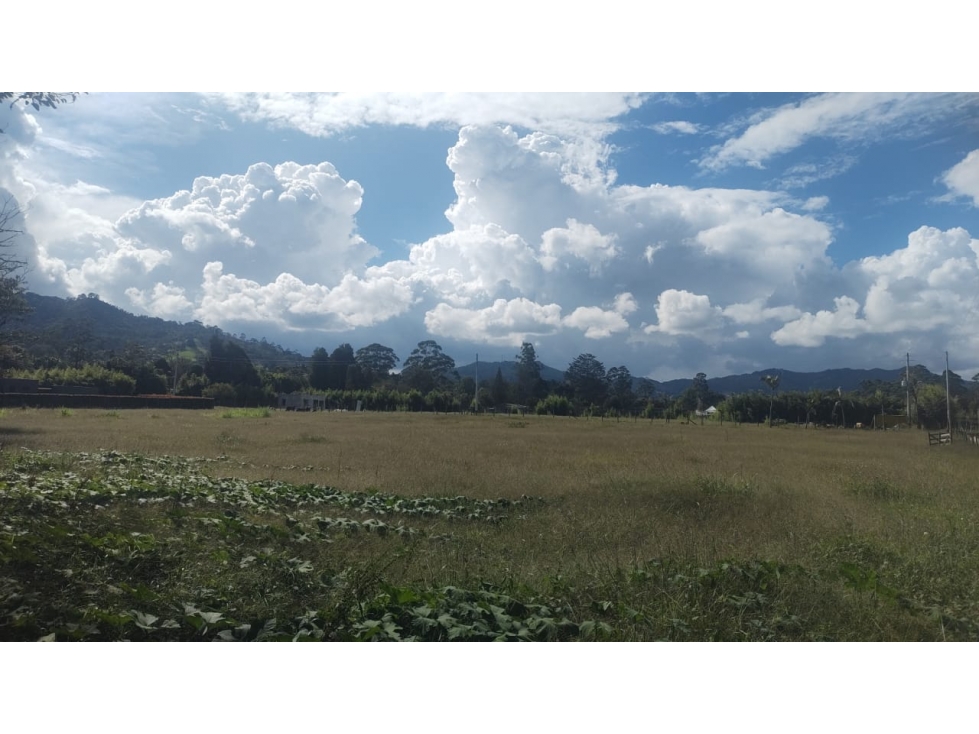VENTA LOTE LLANOGRANDE, RIONEGRO CC