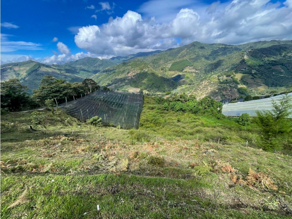 Venta de lote rural Vereda Pantanillo-Nazareth el Retiro Ant — foto 2