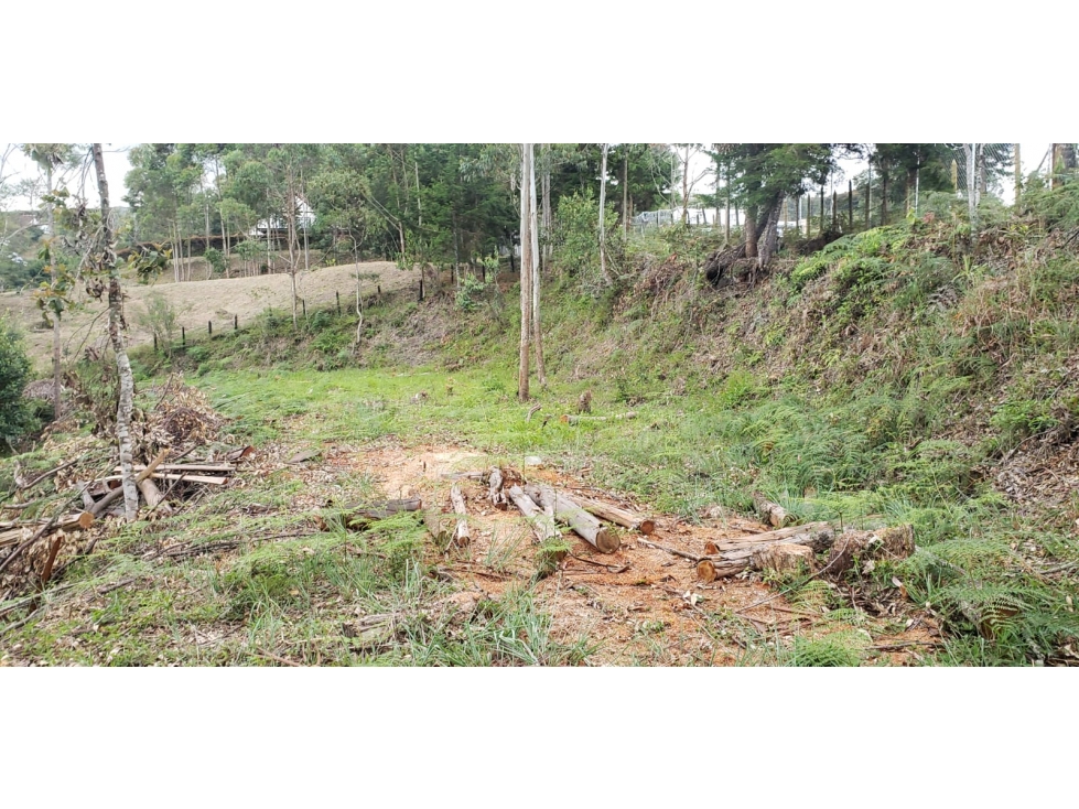 LOTE INDEPENDIENTE EN VENTA CERCA AL AEROPUERTO JMC RIONEGRO — foto 4