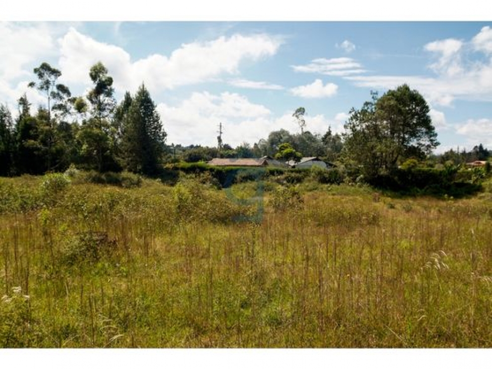 Venta lote espectacular indust./resid. Guarne $13.820.000.000 — foto 5