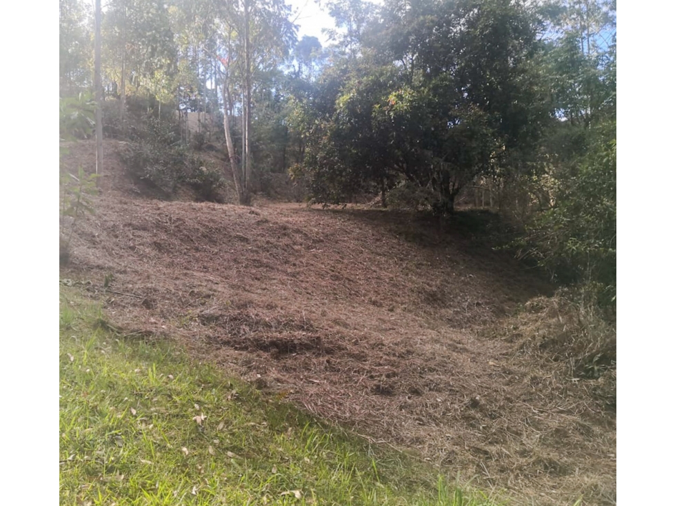 LOTE INDEPENDIENTE EN VENTA CERCA AL AEROPUERTO JMC RIONEGRO — foto 3