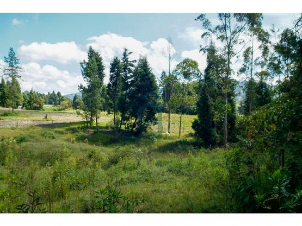 Venta lote espectacular indust./resid. Guarne $13.820.000.000