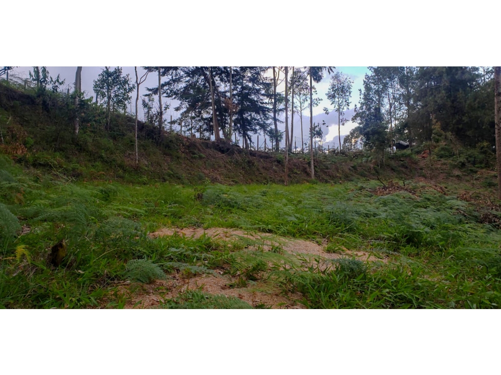 LOTE INDEPENDIENTE EN VENTA CERCA AL AEROPUERTO JMC RIONEGRO — foto 6