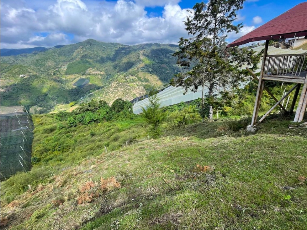 Venta de lote rural Vereda Pantanillo-Nazareth el Retiro Ant — foto 6