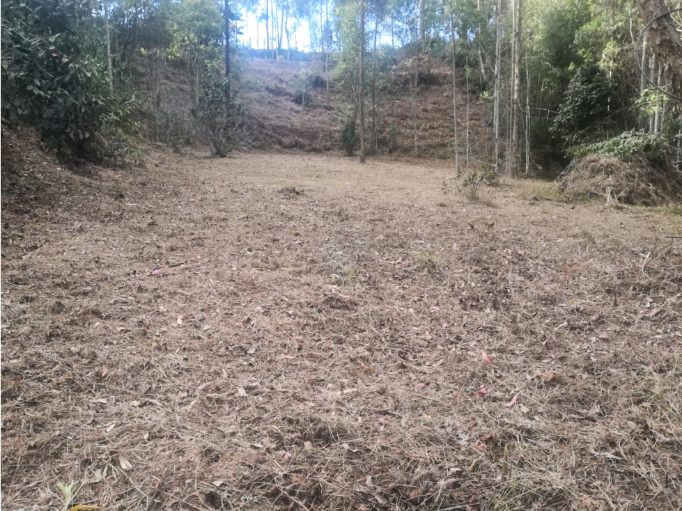 LOTE INDEPENDIENTE EN VENTA CERCA AL AEROPUERTO JMC RIONEGRO — foto 2