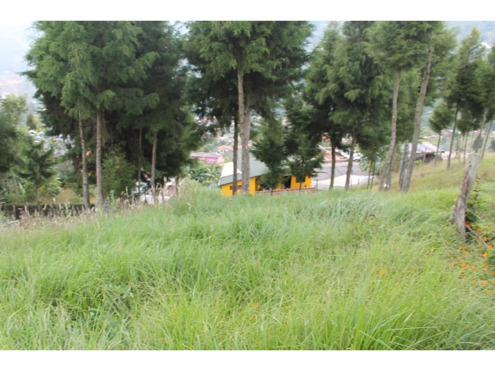 LOTE EN VENTA UBICADO EN SAN CRISTOBAL VEREDA SAN JOSE DE LA MONTAÑA — foto 6