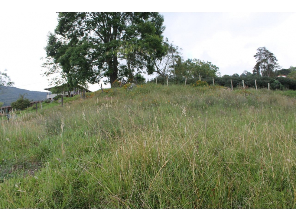 LOTE EN VENTA UBICADO EN SAN CRISTOBAL VEREDA SAN JOSE DE LA MONTAÑA — foto 5