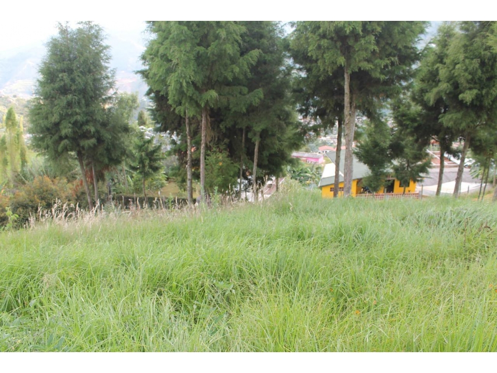 LOTE EN VENTA UBICADO EN SAN CRISTOBAL VEREDA SAN JOSE DE LA MONTAÑA — foto 3