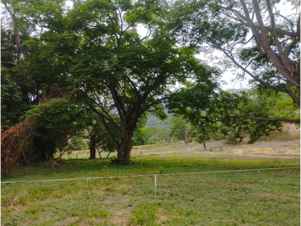 Venta De Lote En Parcelación Sopetran — foto 6