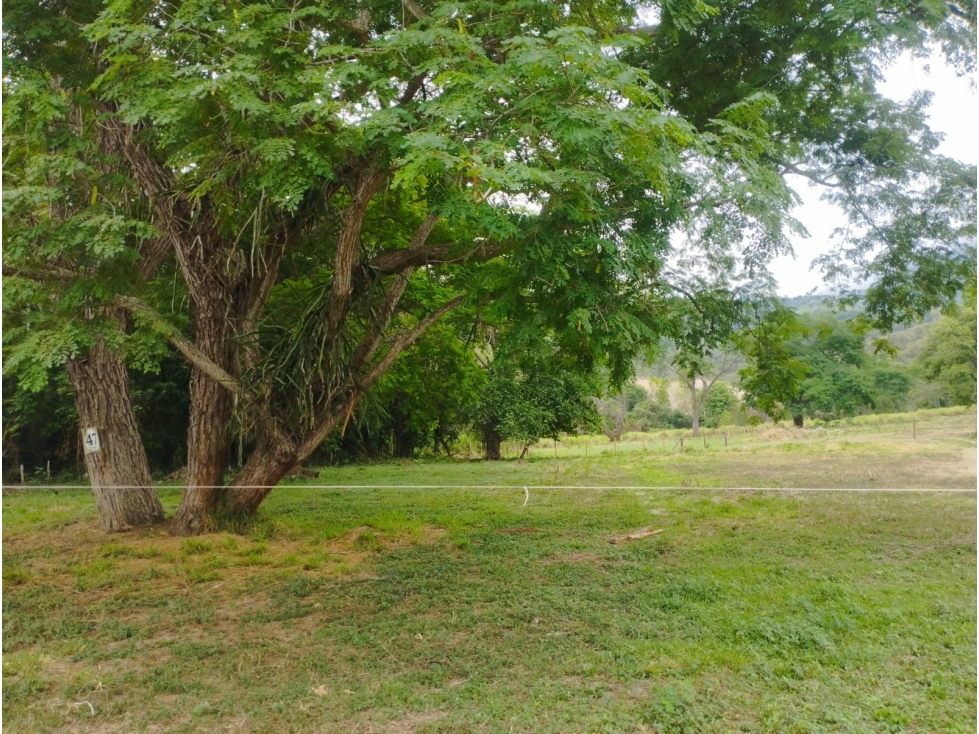 Venta De Lote En Parcelación Sopetran