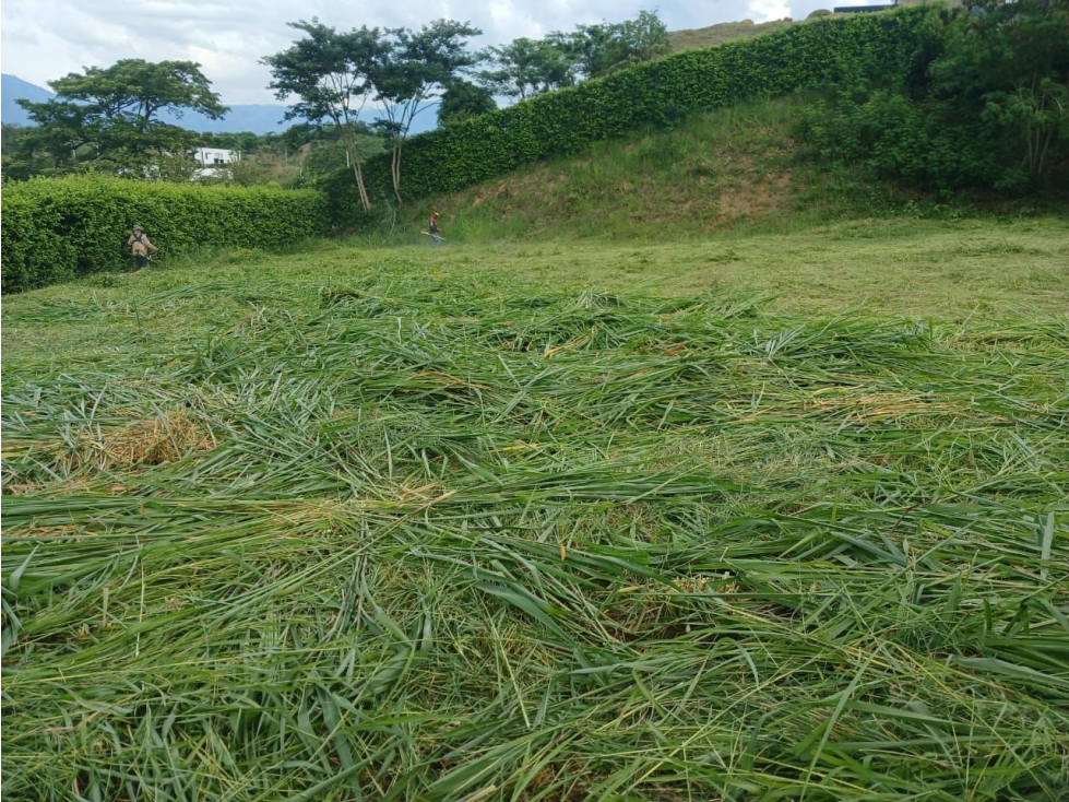 Venta De Lote En Parcelación Sopetran — foto 2