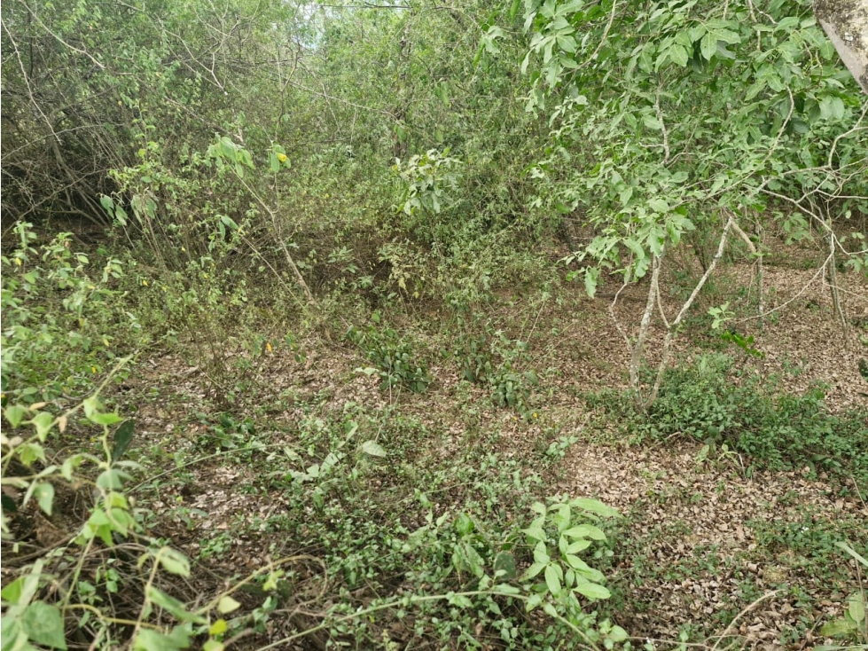 Venta De Lote En Sopetran — foto 3