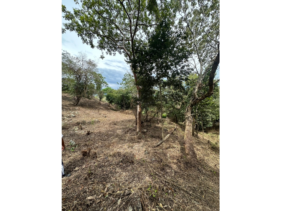 Venta De Lote En Santa Fe De Antioquia