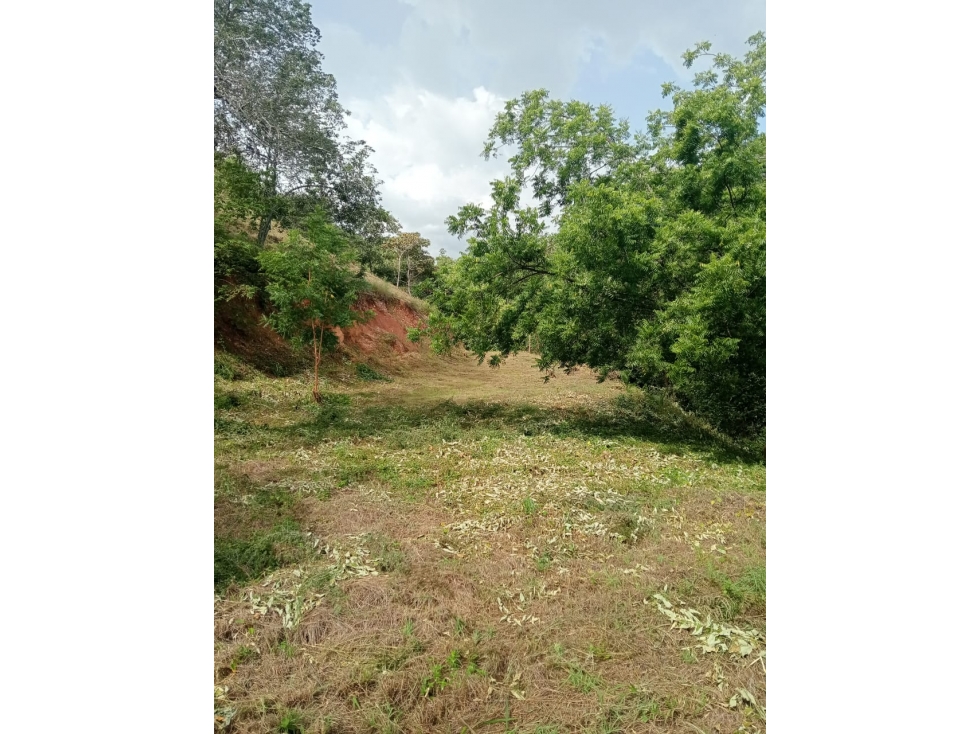 Venta De Lote En Santa Fe De Antioquia