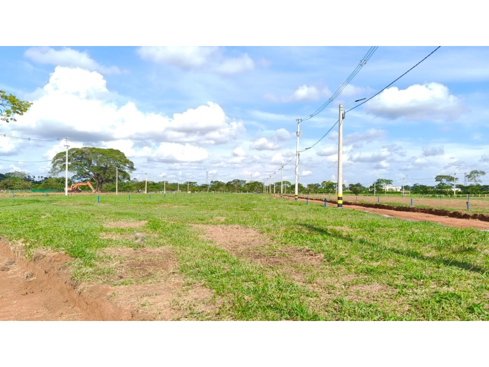 Venta De Lotes En Acacias Meta, Villavicencio - 5