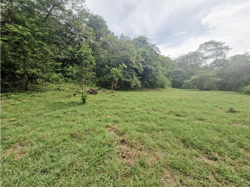 Venta De Lote En Santa Fe De Antioquia