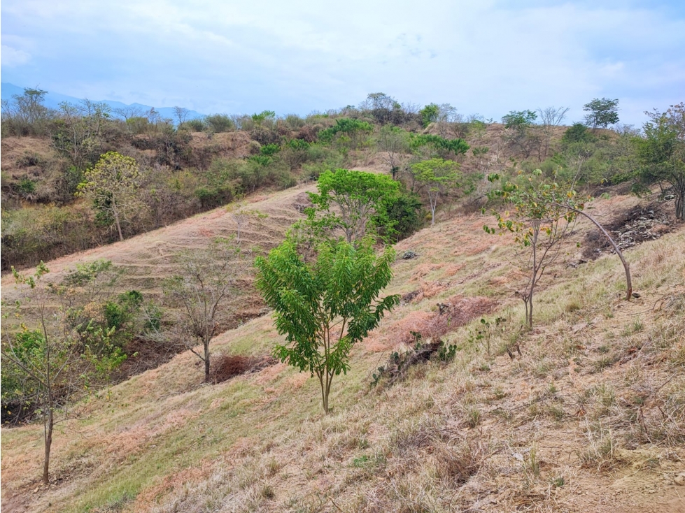 Venta De Lote En Parcelación Sopetran — foto 2