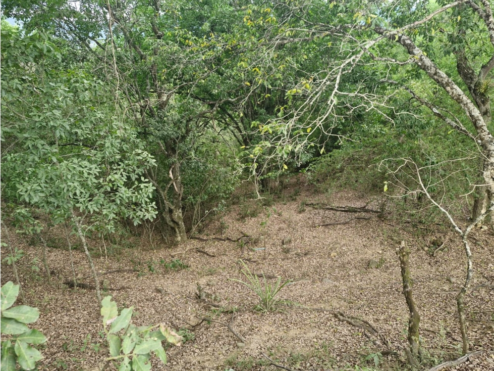 Venta De Lote En Sopetran — foto 4