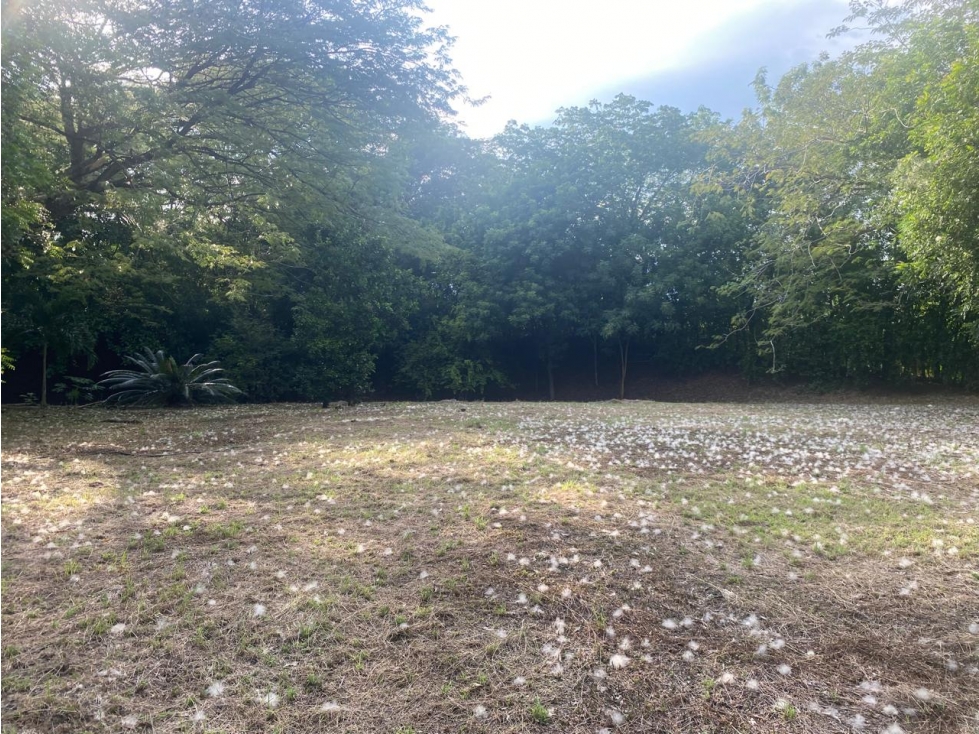 Venta De Lote En Santa Fe De Antioquia - 3