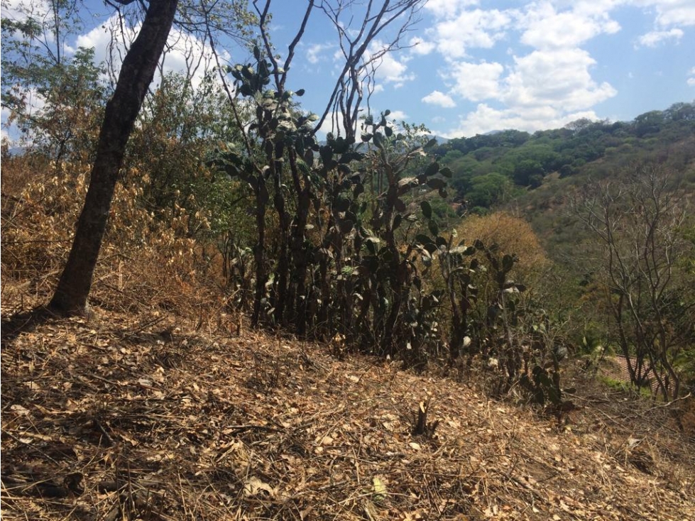Venta De Lote En Parcelación Sopetran — foto 3