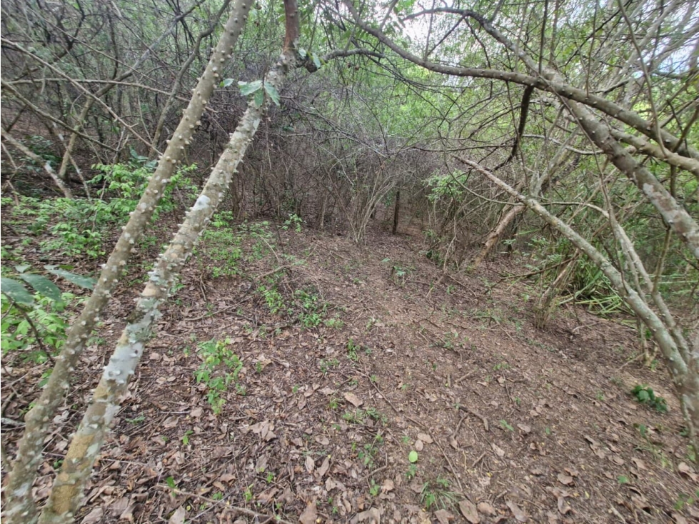 Venta De Lote En Sopetran — foto 5