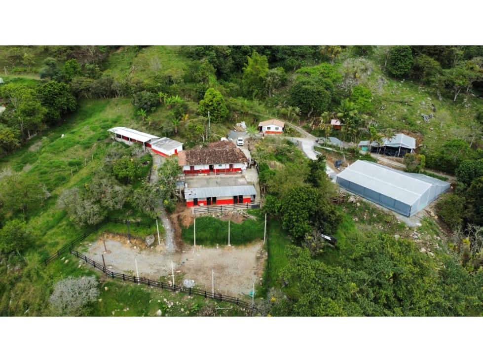 Venta De Finca En San Jeronimo — foto 4