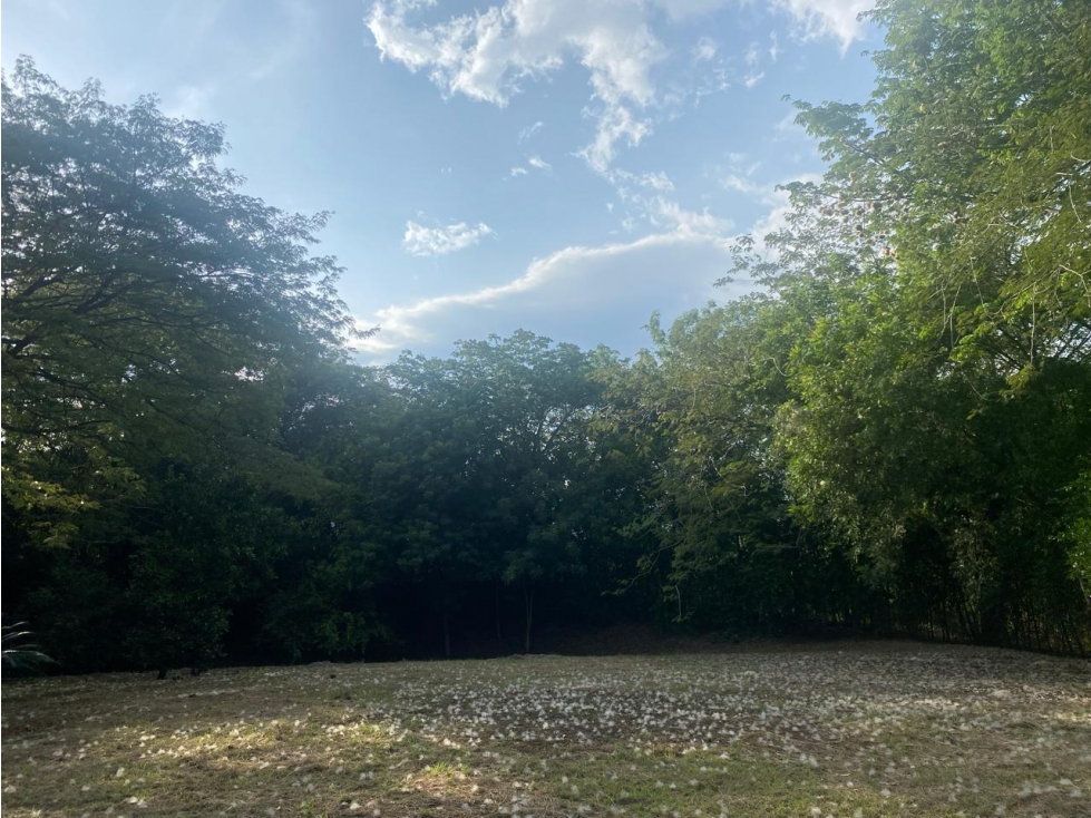 Venta De Lote En Santa Fe De Antioquia - 4
