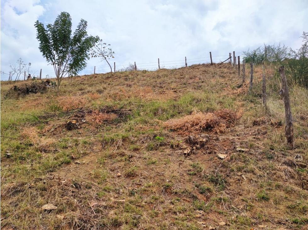 Venta De Lote En Parcelación Sopetran — foto 4
