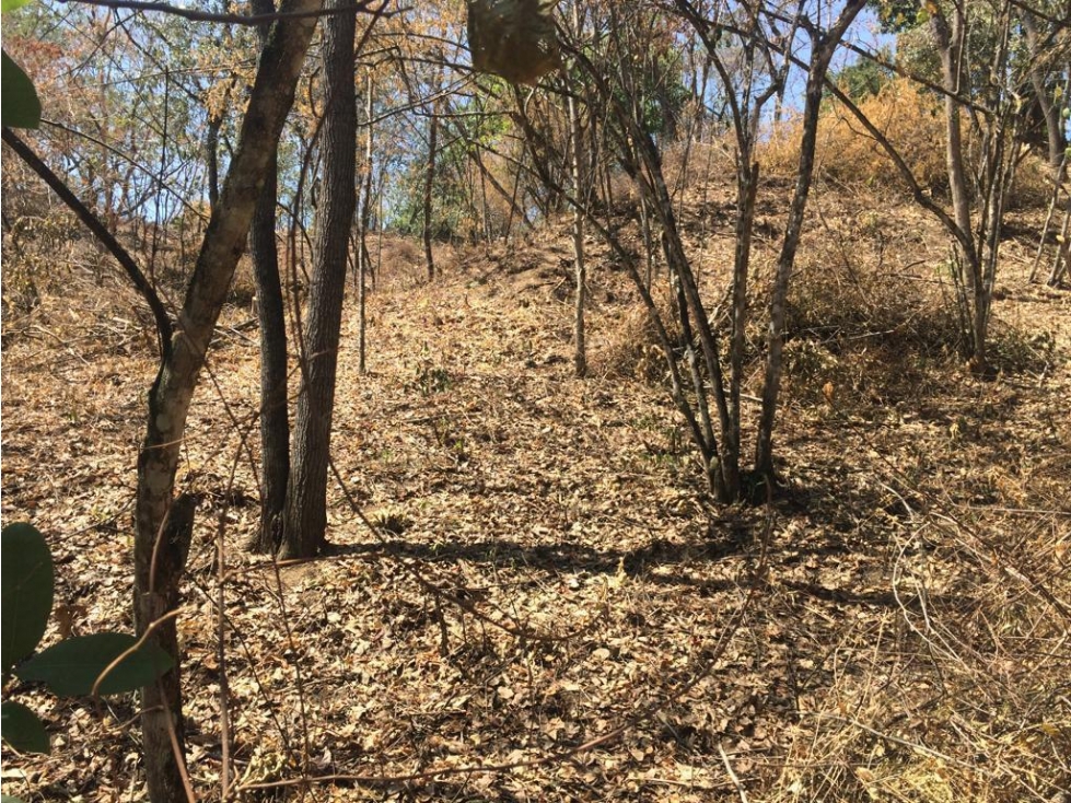 Venta De Lote En Parcelación Sopetran — foto 4