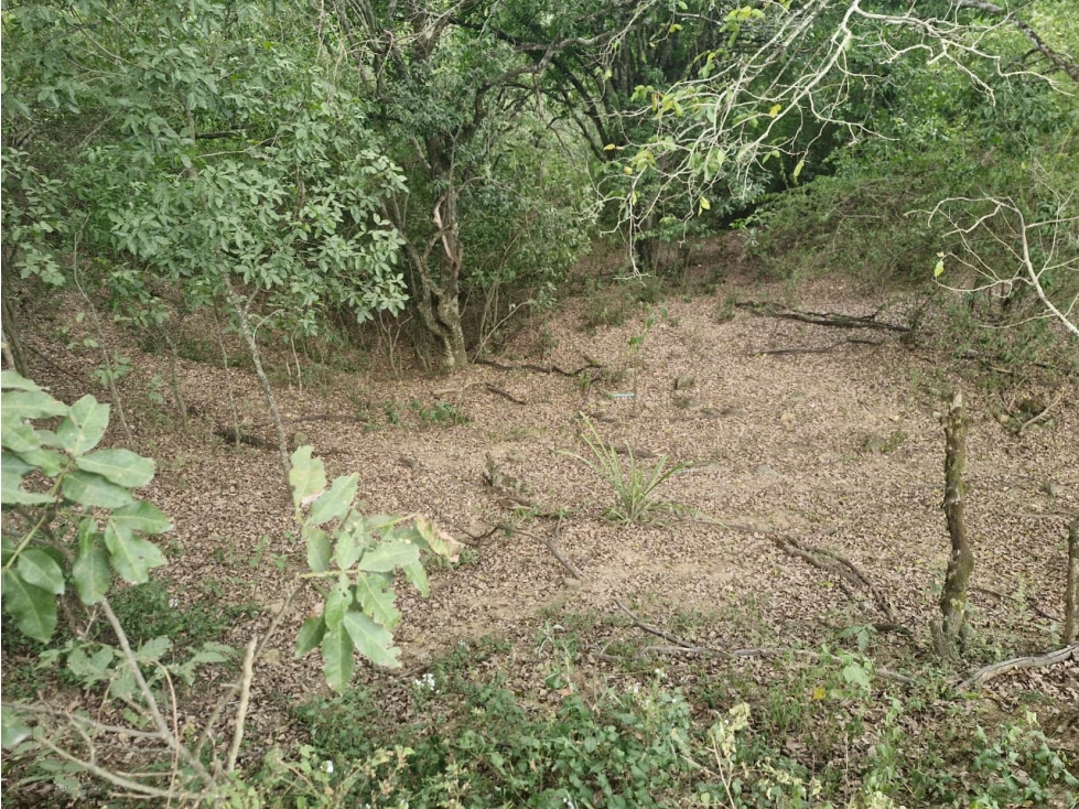 Venta De Lote En Sopetran — foto 6