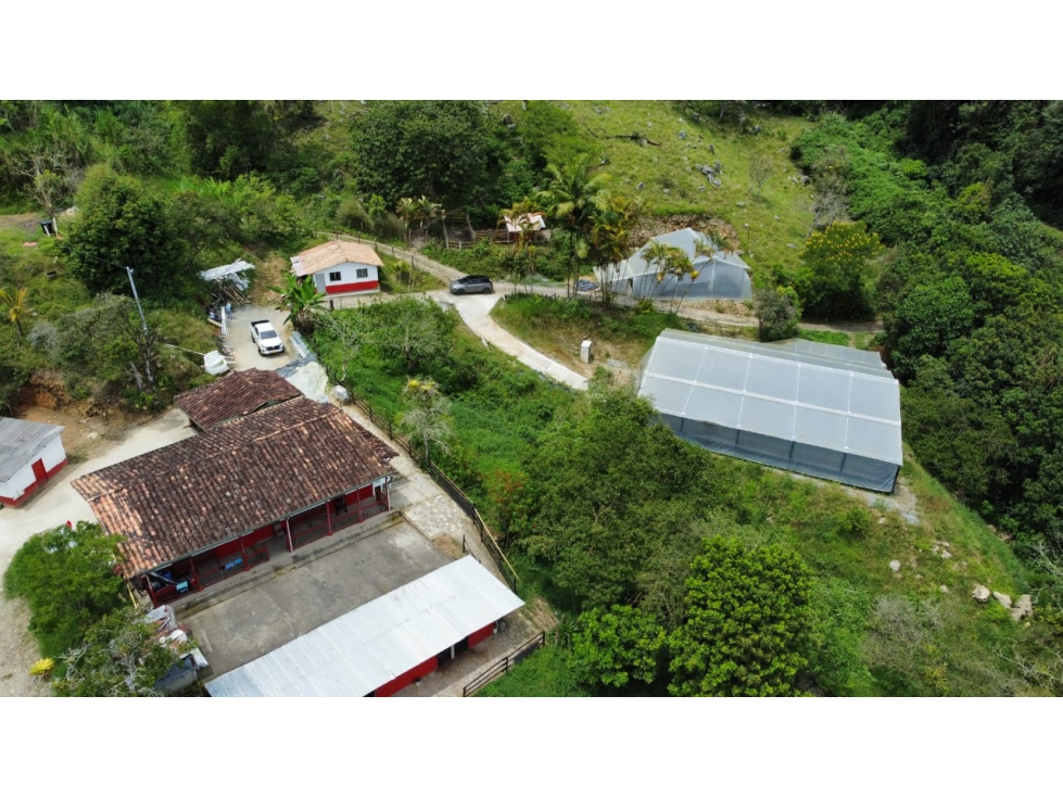 Venta De Finca En San Jeronimo