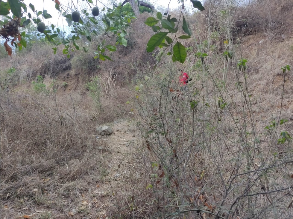 Venta De Lote Santa Fe De Antioquia