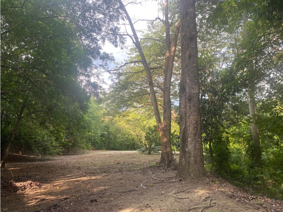 Venta De Lote En Santa Fe De Antioquia - 5