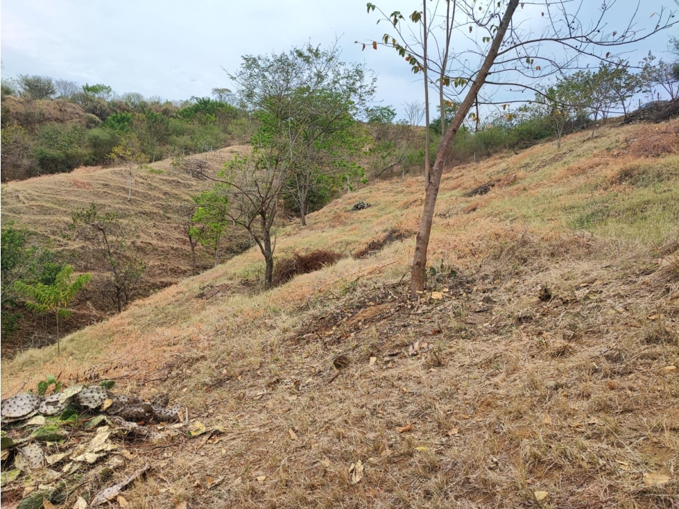 Venta De Lote En Parcelación Sopetran — foto 5