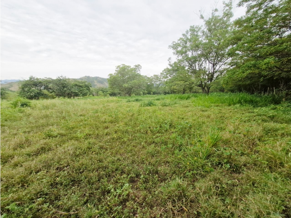 Venta De Lote En Santa Fe De Antioquia