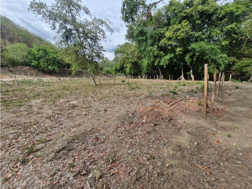 Venta De Lote En Sopetrán — foto 5