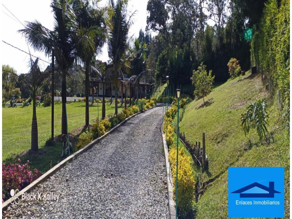 Venta De Finca Vereda Alto De Medina Guarne — foto 4