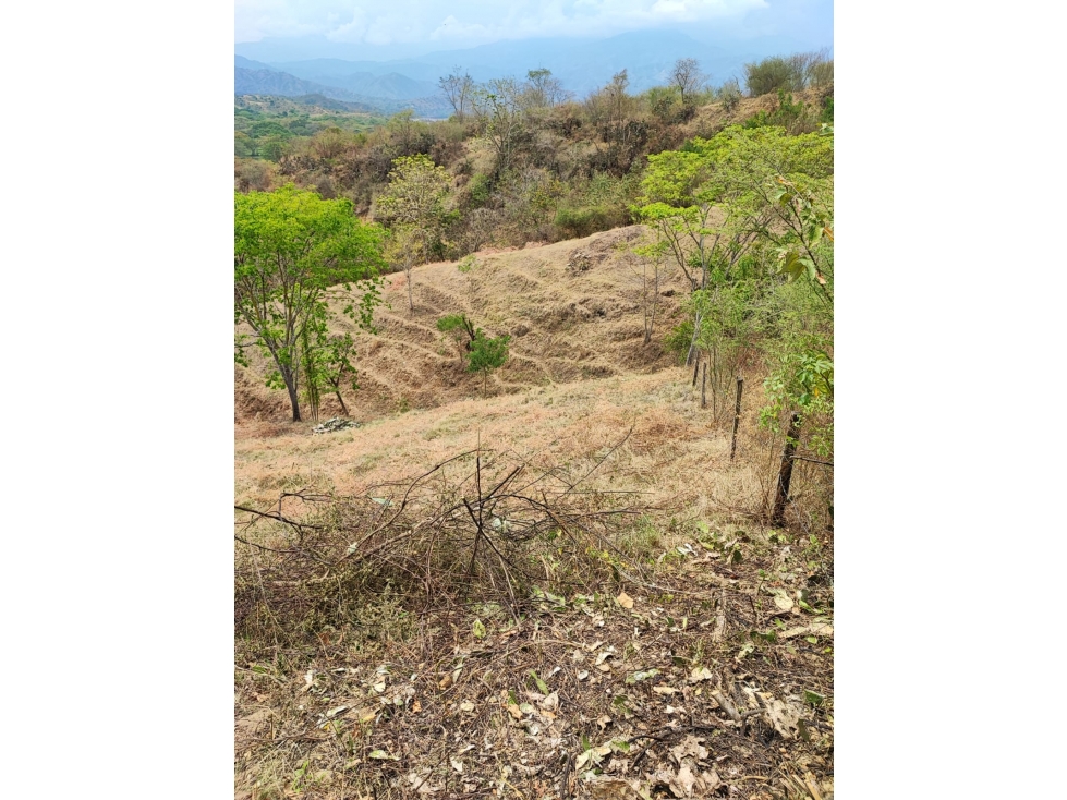 Venta De Lote En Parcelación Sopetran — foto 6