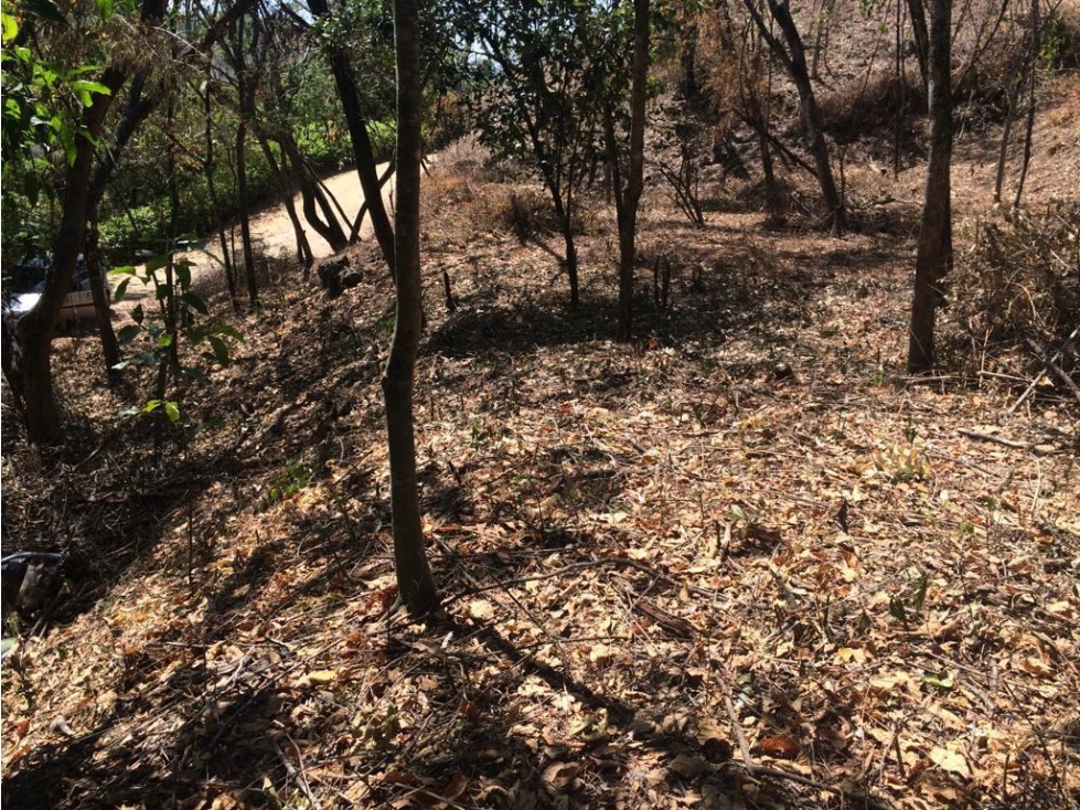 Venta De Lote En Parcelación Sopetran — foto 6