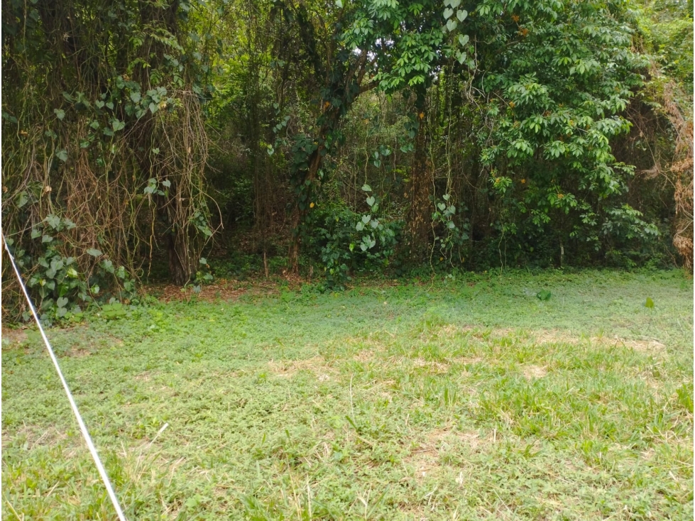 Venta De Lote En Parcelación Sopetran — foto 2